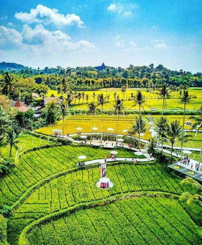 Hostal Balkondes Wringinputih