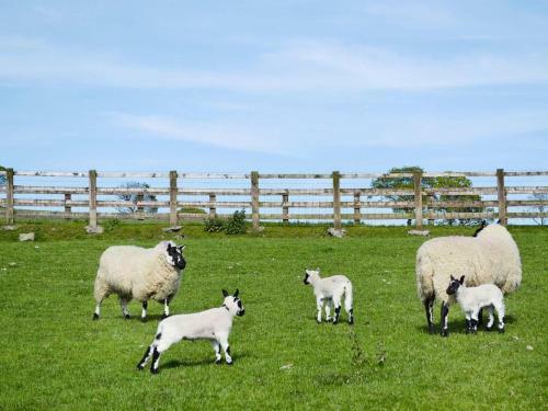 Maes Y Bryn Farmhouse