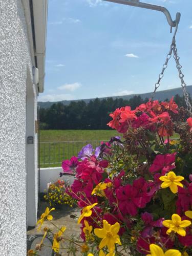 Villa Benone Getaways - The Studio