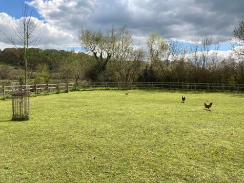 Lodge The Hut@dinnington