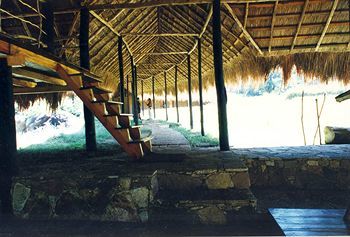 Posada Ella Jungle Inn