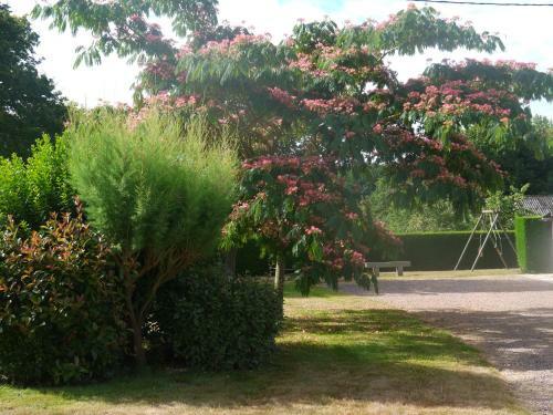 Bed & Breakfast Chambres D'hotes Les Sageais
