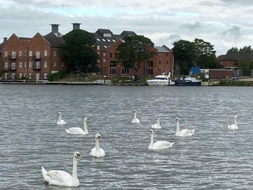 Apartamento Swan View, Oulton Broad