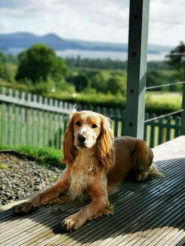 Bonnie Barns - Luxury Glamping With Hot Tubs
