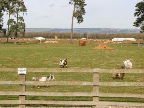 Hartswood Farm