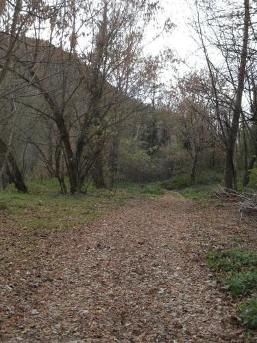 Apartaments Del Llierca