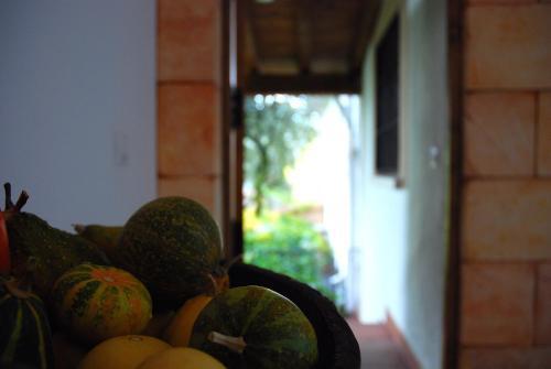 Hostal El Cardenillo