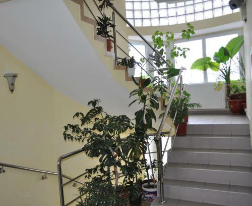 Hostal Pension Cremona