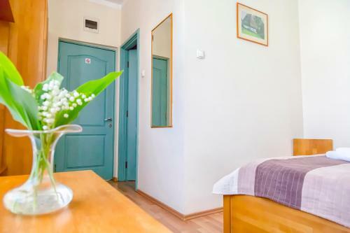 Hostal Pension Floare De Colti