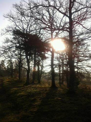 Bridge Hotel Brandon