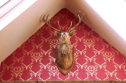 Posada The Museum Inn