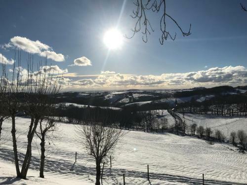 Bed & Breakfast Ch�teau Du Puech