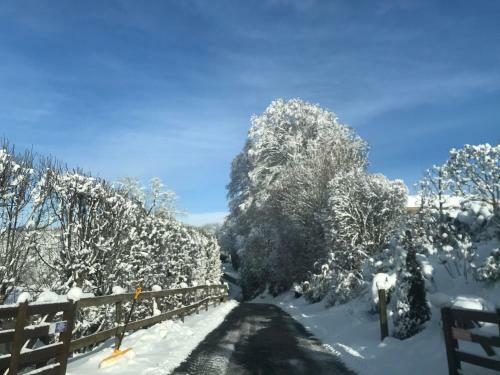 Bed & Breakfast Ch�teau Du Puech