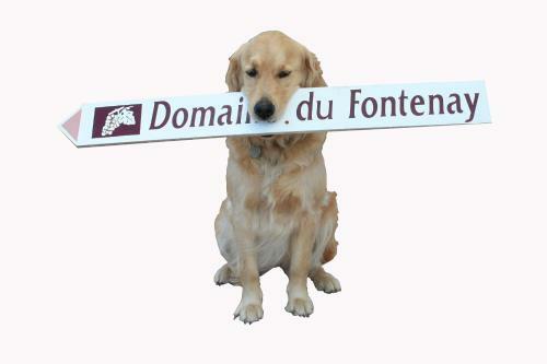 Bed & Breakfast Domaine Du Fontenay