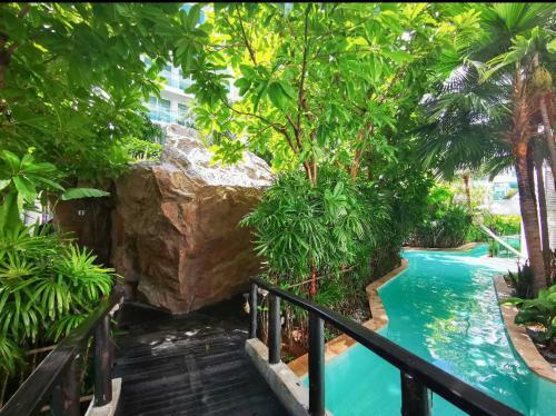 Apartamento Amazon Rainforest