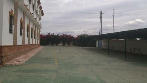Hotel Palmero