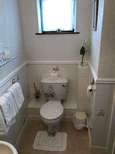 Bed & Breakfast Erw-lon Farm