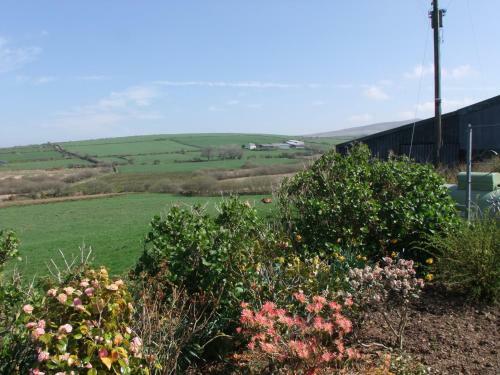Bed & Breakfast Erw-lon Farm