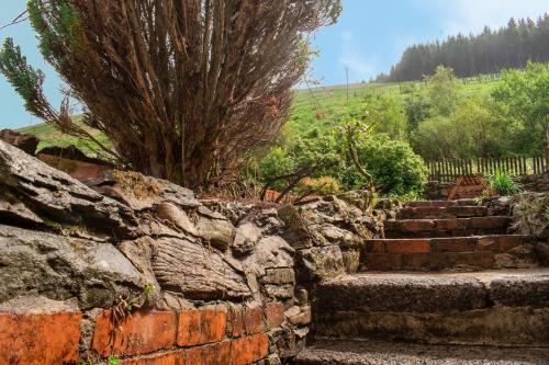 Afan Valley Holiday Home - Mountain Retreat!