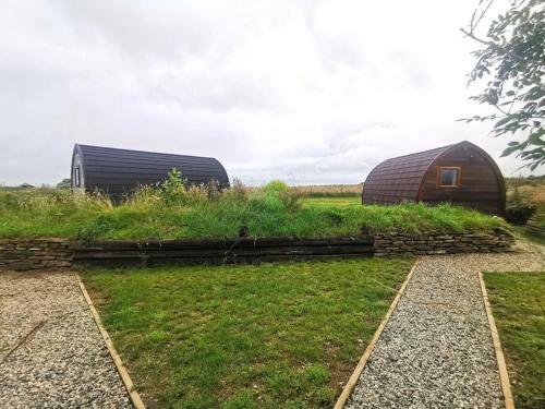 Premier Glamping Pod-nr Port Isaac