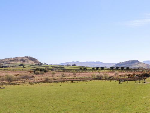 Bryn Coed
