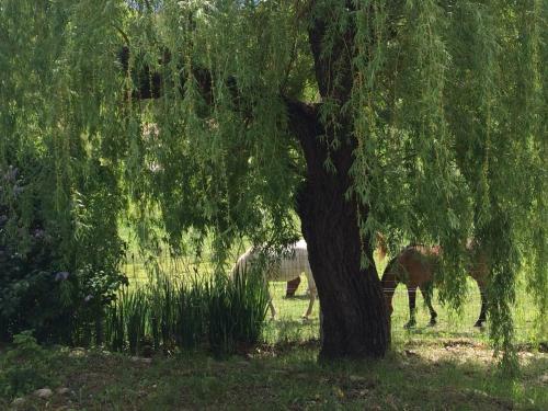 Bed & Breakfast Les G�tes D'eliane