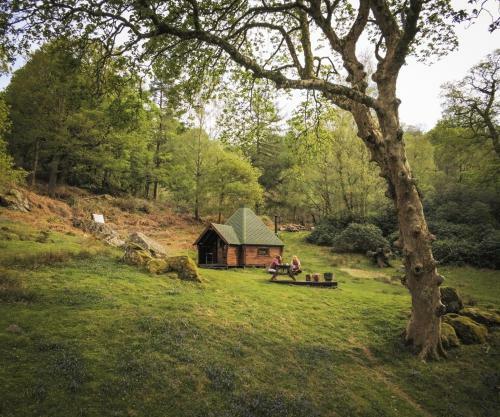 Cabin 3