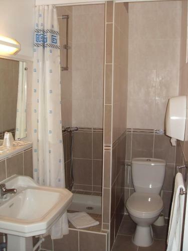 Hotel H�tel Des Alli�s