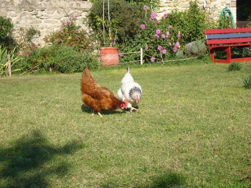 Bed & Breakfast Chambres D'h�tes Les 7 Semaines