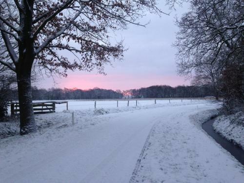 Bed & Breakfast De Hiddinghhoeve