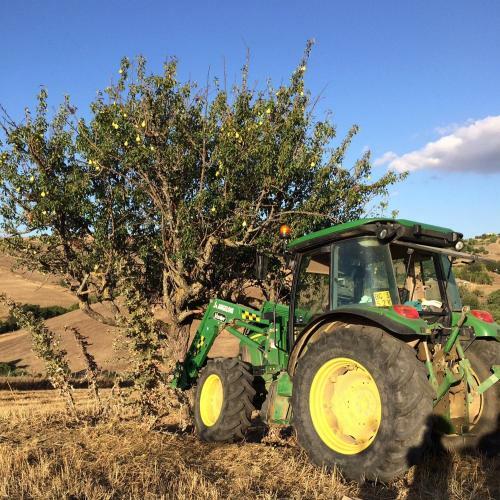 Agroturismo Agriturismo San Pietro