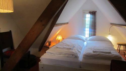 Bed & Breakfast Villa Zomerdijk