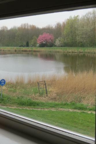 Bed & Breakfast Villa Zomerdijk