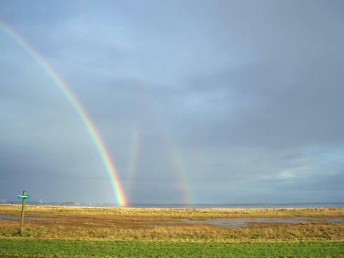 Bed & Breakfast Waddenhoes Gastenverblijven