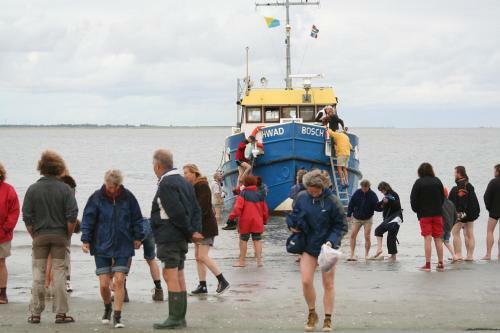 Bed & Breakfast Waddenhoes Gastenverblijven