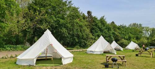 4 Meter Bell Tent - Up To 4 Persons Glamping 15