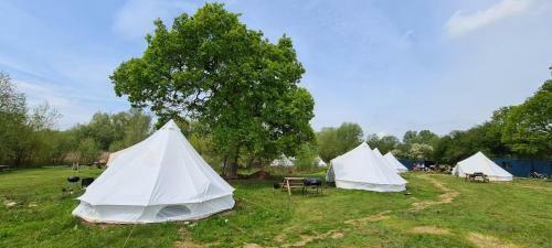 4 Meter Bell Tent - Up To 4 Persons Glamping 9