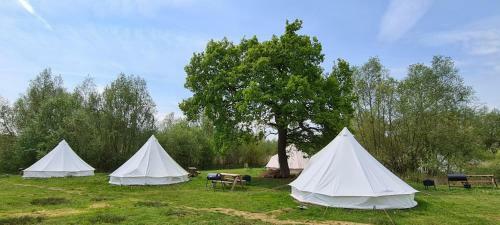 Personal Pitch Tent 6 Persons Glamping 19