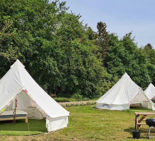 4 Meter Bell Tent - Up To 4 Persons Glamping 10