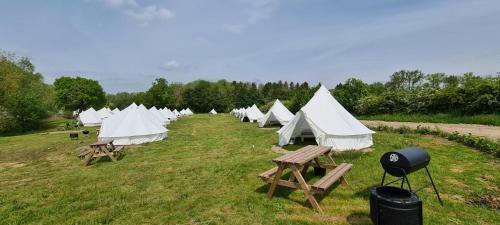 Personal Pitch Tent 6 Persons Glamping 8