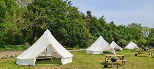 4 Meter Bell Tent - Up To 4 Persons Glamping 11