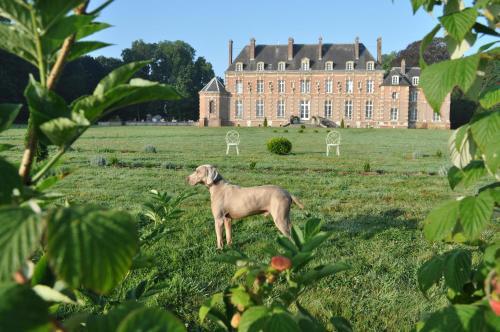 Bed & Breakfast Ch�teau D'auteuil - Chambres D'h�tes