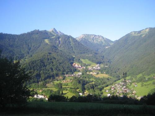 La Gentiane 2