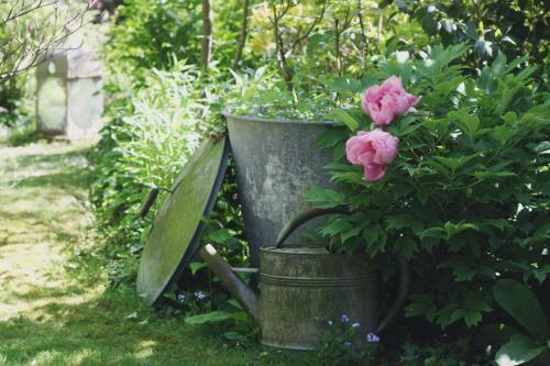 Bed & Breakfast Le Bonheur � La Campagne