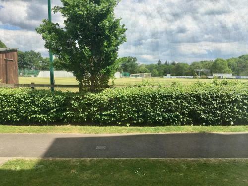 Garden Apartment Near New Forest