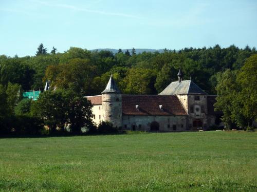 G�te Schlitteur Et Sapiniere