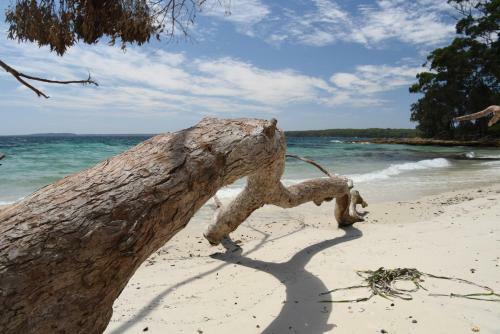 Apartamento Beachfront Boogaloo