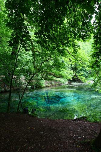 Hotel La Source Bleue