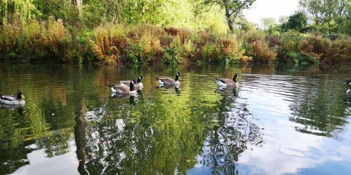 Magpie 1 Hot Tub Huntersmoon-warminster-bath-wiltshire