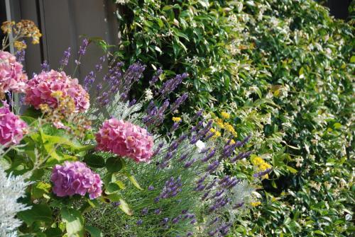Bed & Breakfast Demeure Des Buis